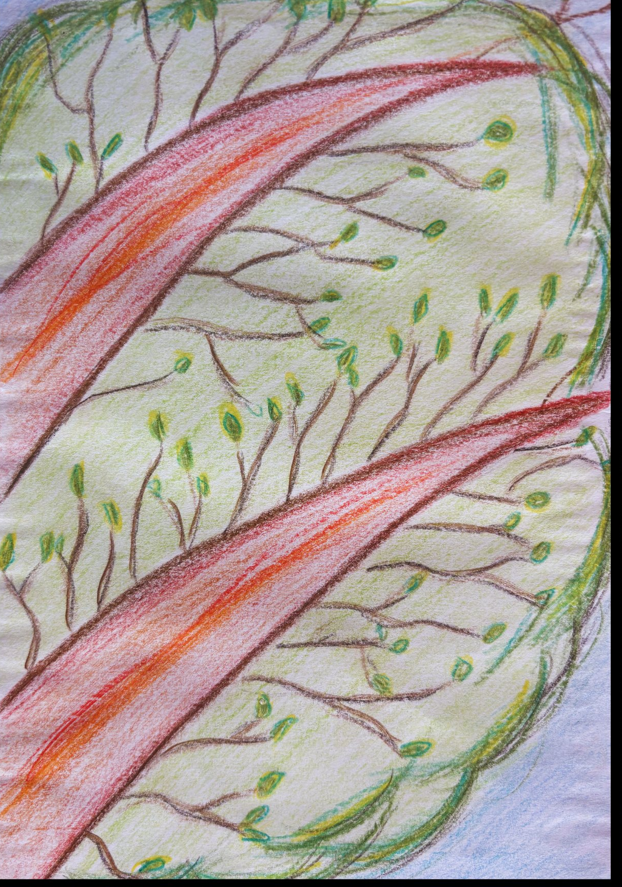 The Leaves