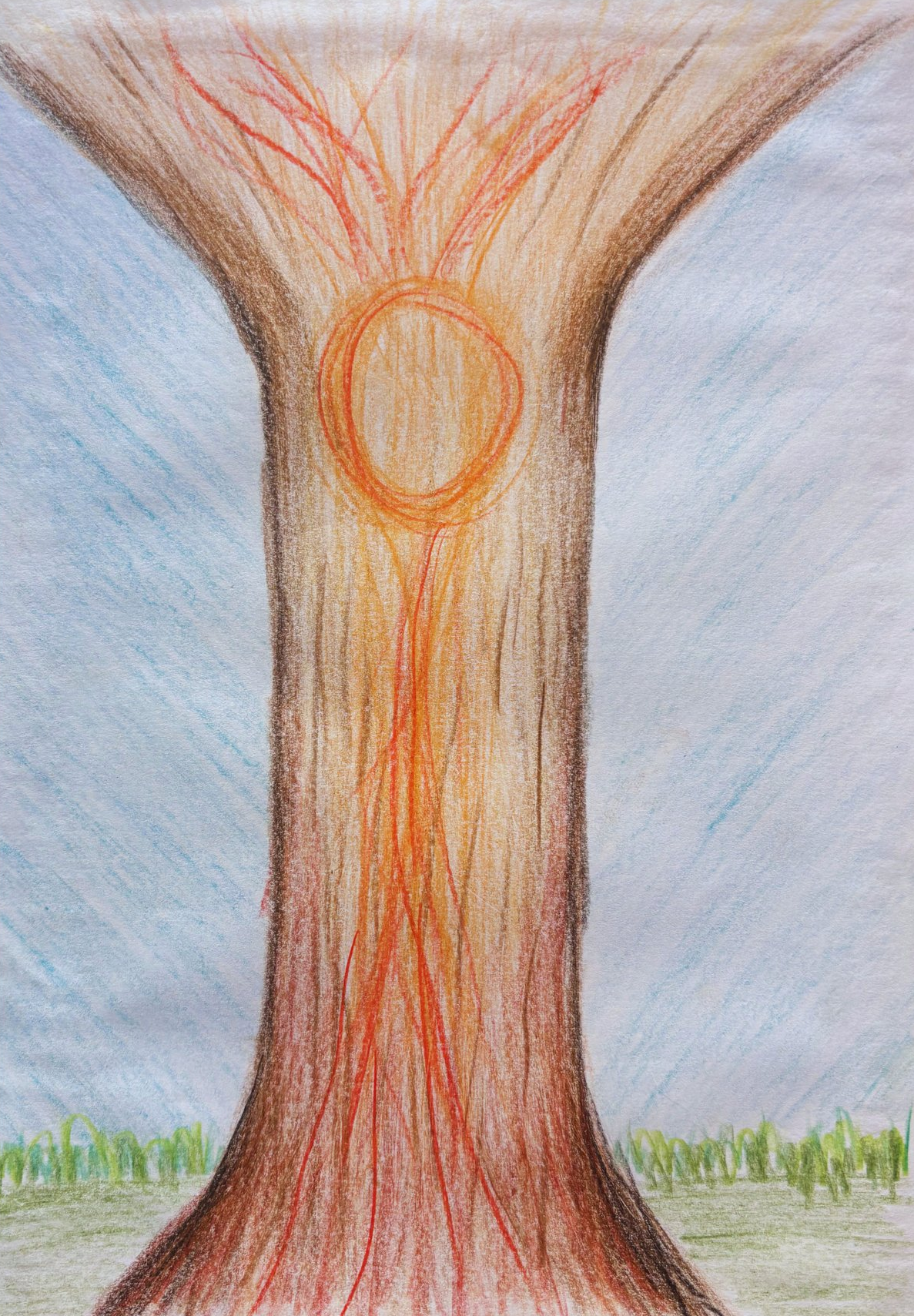 The Trunk